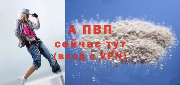 a pvp Бородино