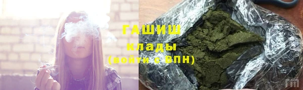 a pvp Бородино