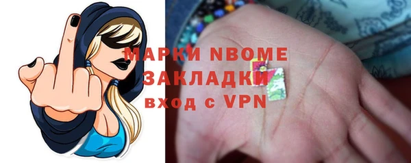a pvp Бородино