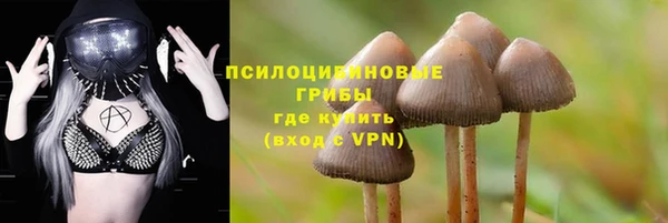 ECSTASY Бронницы